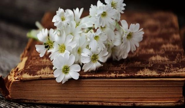 عبارات توديع صديق