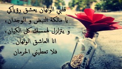 عبارات عن التعامل الراقي