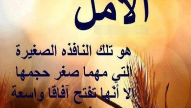 عبارات عن التفاؤل في الدراسة