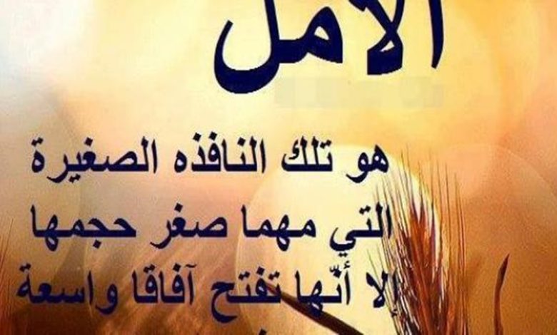 عبارات عن التفاؤل في الدراسة