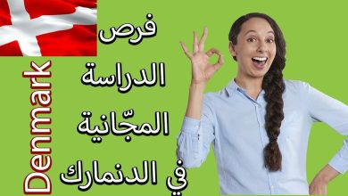 منحة دراسية مجانا في الدانمارك