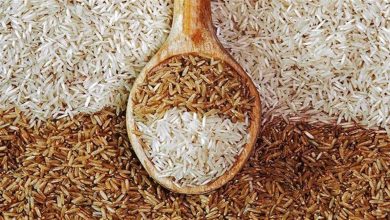 أكبر دولة منتجة للأرز والقمح في العالم