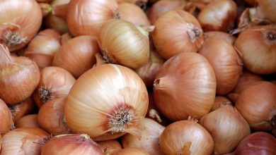 أكثر الدول إنتاجا للبصل