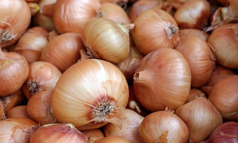 أكثر الدول إنتاجا للبصل