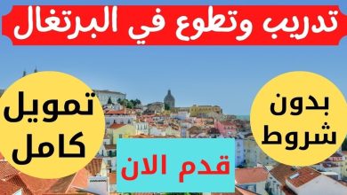 منحة دراسية مجانا في البرتغال